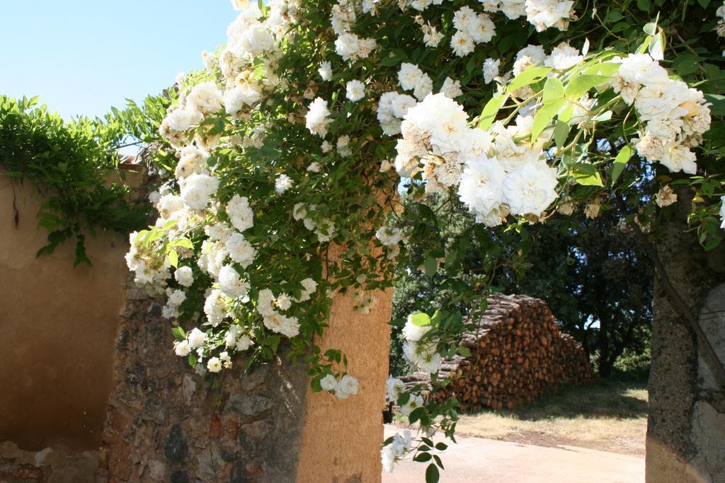 Domaine De La Blaque - B&B Varages Exterior photo