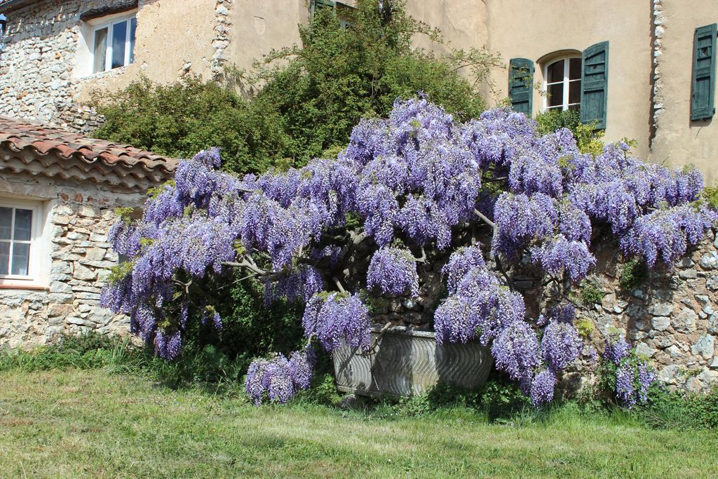 Domaine De La Blaque - B&B Varages Exterior photo